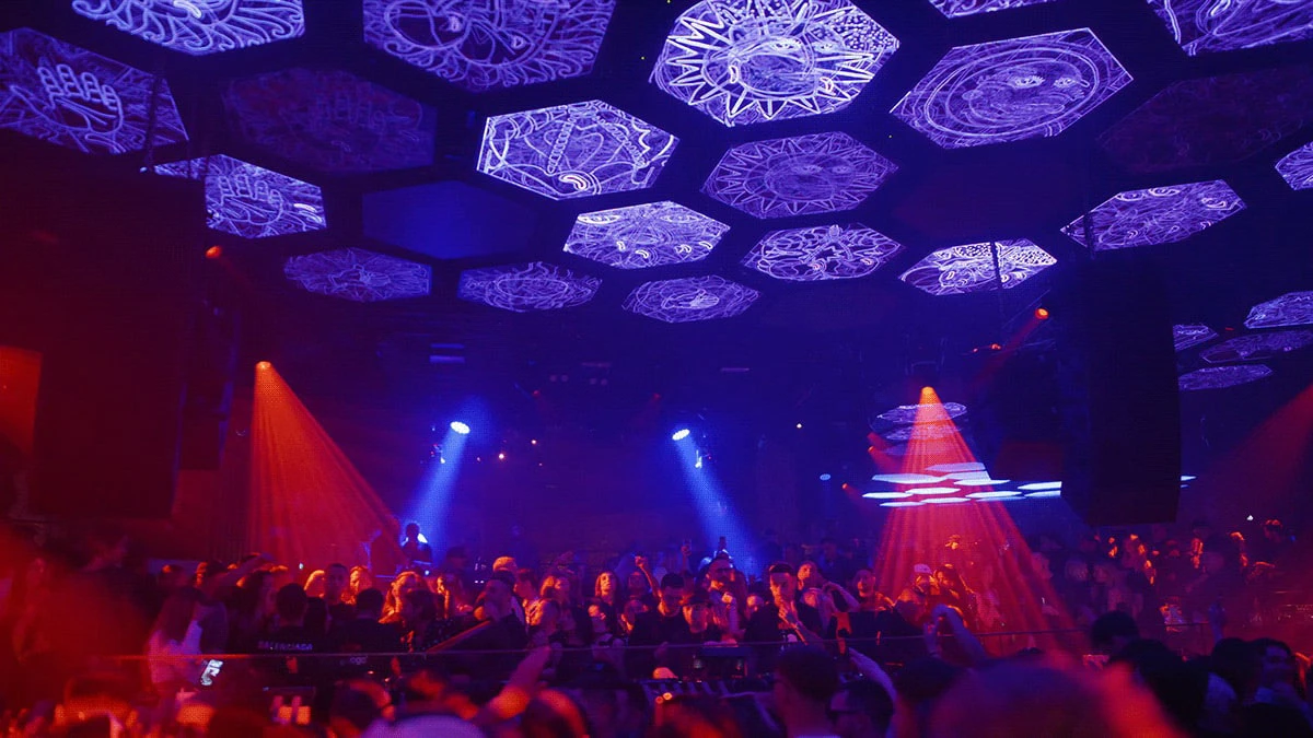 INTERACTIVE VISUALS at PACHA — GATE1 Studio