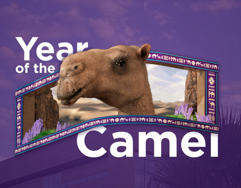 Year of the Camel - 3D Billboard